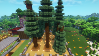 Spruce Tree Farm